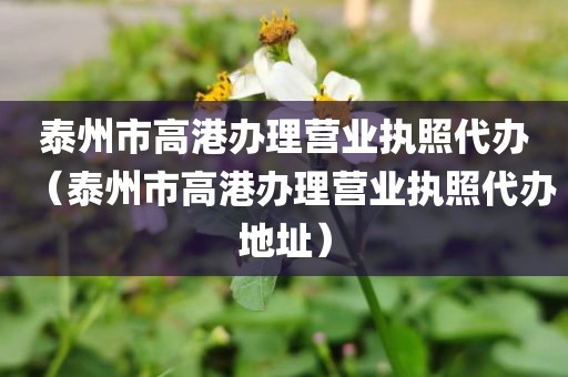 泰州市高港办理营业执照代办（泰州市高港办理营业执照代办地址）
