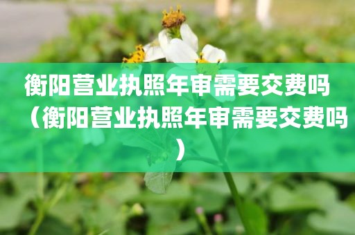 衡阳营业执照年审需要交费吗(衡阳营业执照年审需要交费吗)