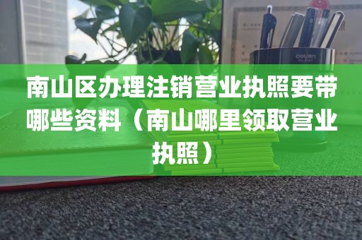 南山区办理注销营业执照要带哪些资料（南山哪里领取营业执照）