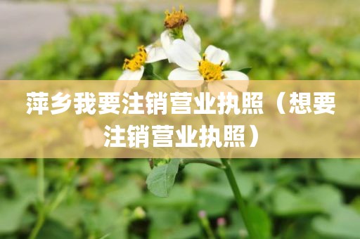 萍乡我要注销营业执照（想要注销营业执照）