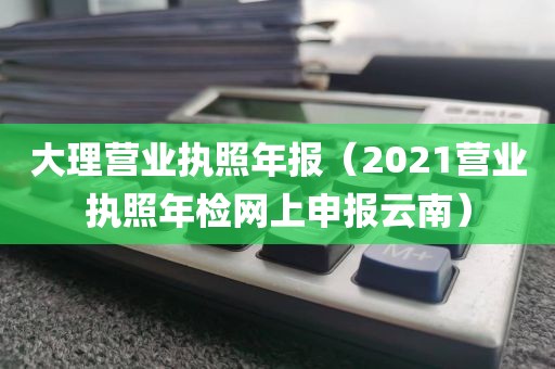 大理营业执照年报(2021营业执照年检网上申报云南)