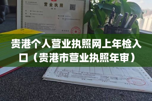 贵港个人营业执照网上年检入口（贵港市营业执照年审）