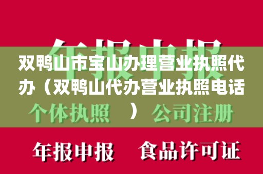 双鸭山市宝山办理营业执照代办（双鸭山代办营业执照电话）