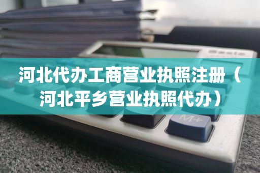 河北代办工商营业执照注册（河北平乡营业执照代办）