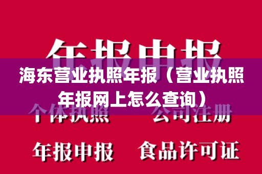 海东营业执照年报（营业执照年报网上怎么查询）