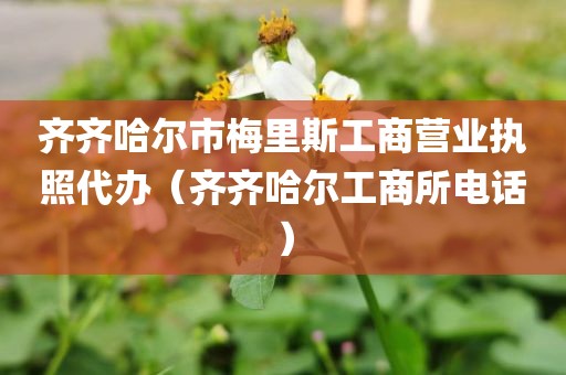 齐齐哈尔市梅里斯工商营业执照代办(齐齐哈尔工商所电话)