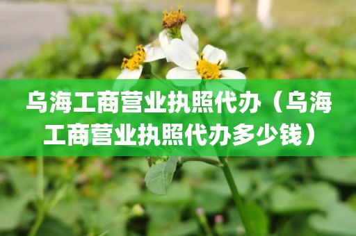 乌海工商营业执照代办（乌海工商营业执照代办多少钱）