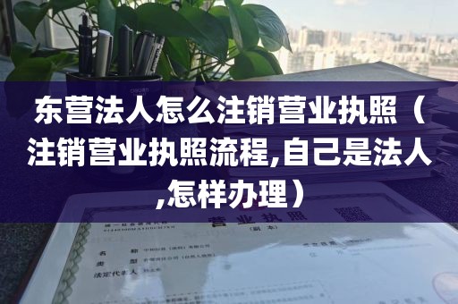 东营法人怎么注销营业执照（注销营业执照流程,自己是法人,怎样办理）