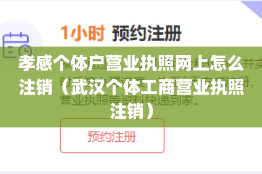 孝感个体户营业执照网上怎么注销（武汉个体工商营业执照注销）