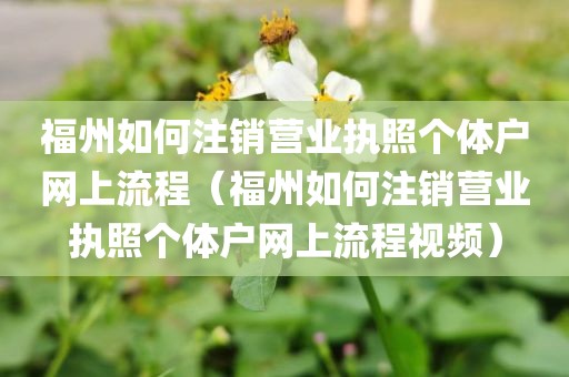 福州如何注销营业执照个体户网上流程（福州如何注销营业执照个体户网上流程视频）