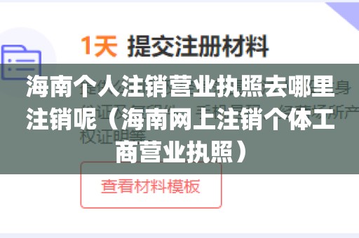 海南个人注销营业执照去哪里注销呢（海南网上注销个体工商营业执照）