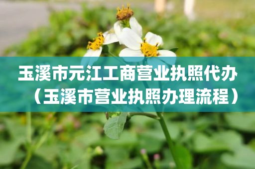玉溪市元江工商营业执照代办（玉溪市营业执照办理流程）