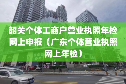 韶关个体工商户营业执照年检网上申报(广东个体营业执照网上年检)