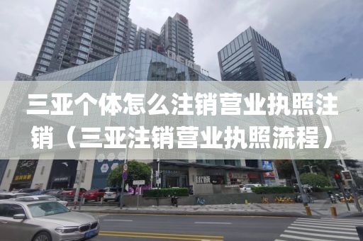 三亚个体怎么注销营业执照注销（三亚注销营业执照流程）
