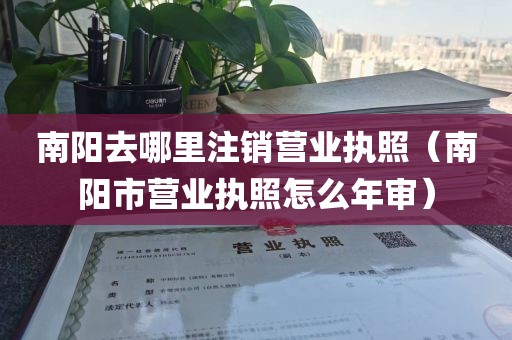 南阳去哪里注销营业执照（南阳市营业执照怎么年审）