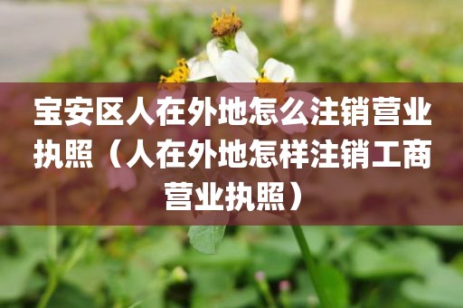 宝安区人在外地怎么注销营业执照（人在外地怎样注销工商营业执照）
