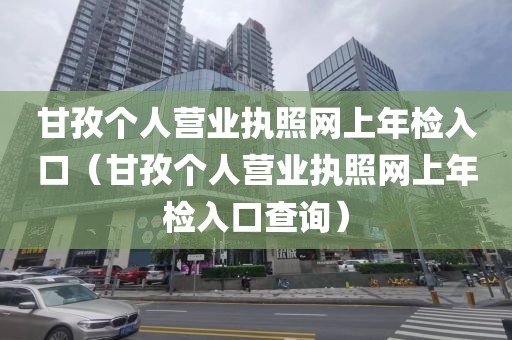 甘孜个人营业执照网上年检入口（甘孜个人营业执照网上年检入口查询）