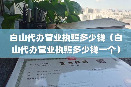 白山代办营业执照多少钱（白山代办营业执照多少钱一个）