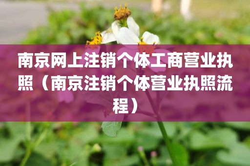 南京网上注销个体工商营业执照（南京注销个体营业执照流程）