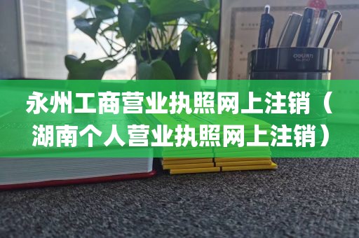 永州工商营业执照网上注销(湖南个人营业执照网上注销)