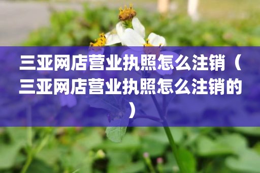 三亚网店营业执照怎么注销（三亚网店营业执照怎么注销的）