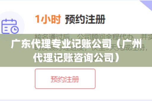 广东代理专业记账公司（广州代理记账咨询公司）