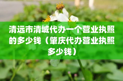 清远市清城代办一个营业执照的多少钱（肇庆代办营业执照多少钱）