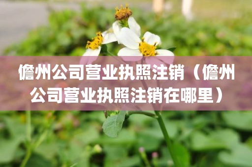 儋州公司营业执照注销（儋州公司营业执照注销在哪里）