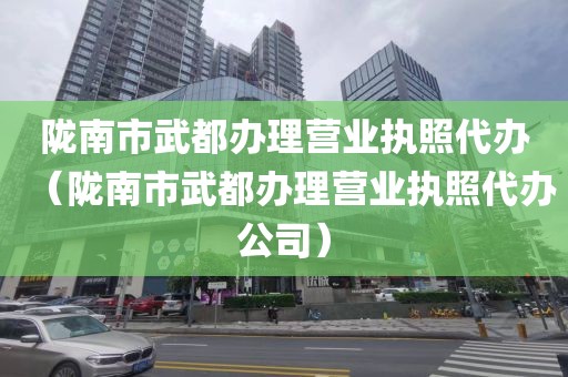 陇南市武都办理营业执照代办(陇南市武都办理营业执照代办公司)