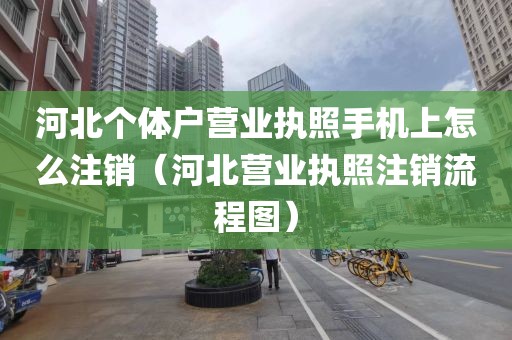 河北个体户营业执照手机上怎么注销（河北营业执照注销流程图）