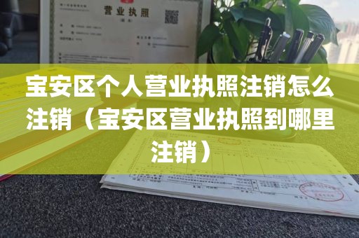宝安区个人营业执照注销怎么注销（宝安区营业执照到哪里注销）
