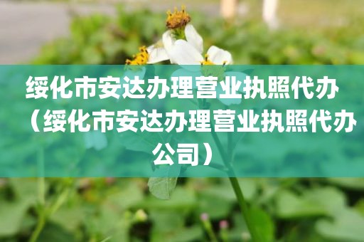 绥化市安达办理营业执照代办(绥化市安达办理营业执照代办公司)