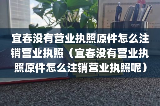 宜春没有营业执照原件怎么注销营业执照（宜春没有营业执照原件怎么注销营业执照呢）
