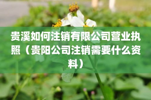 贵溪如何注销有限公司营业执照（贵阳公司注销需要什么资料）