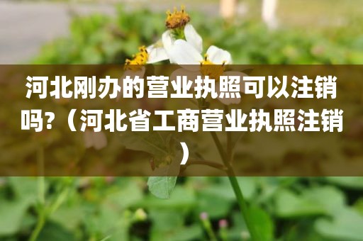 河北刚办的营业执照可以注销吗?（河北省工商营业执照注销）