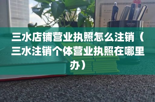 三水店铺营业执照怎么注销(三水注销个体营业执照在哪里办)