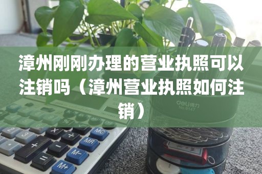 漳州刚刚办理的营业执照可以注销吗（漳州营业执照如何注销）