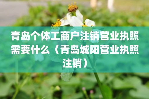 青岛个体工商户注销营业执照需要什么（青岛城阳营业执照注销）