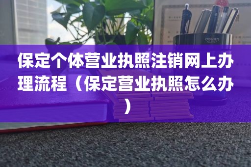 保定个体营业执照注销网上办理流程（保定营业执照怎么办）