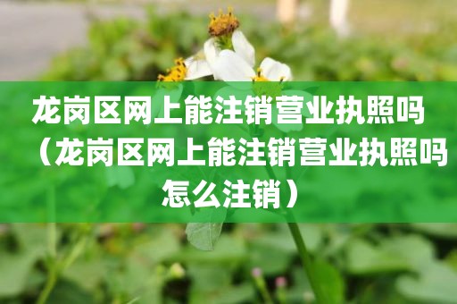 龙岗区网上能注销营业执照吗(龙岗区网上能注销营业执照吗怎么注销)