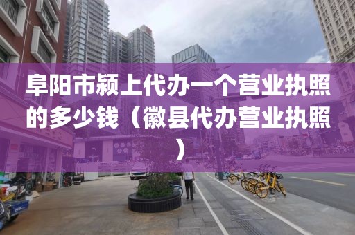 阜阳市颍上代办一个营业执照的多少钱（徽县代办营业执照）