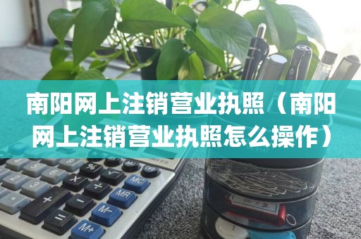南阳网上注销营业执照（南阳网上注销营业执照怎么操作）