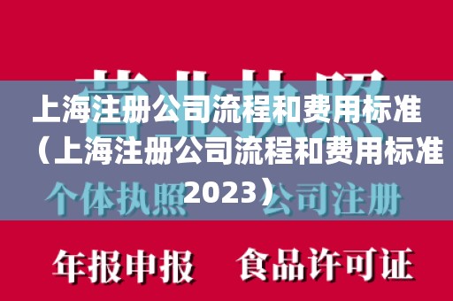 上海注册公司流程和费用标准（上海注册公司流程和费用标准2023）