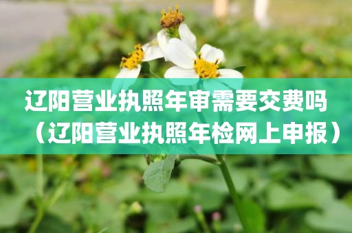 辽阳营业执照年审需要交费吗（辽阳营业执照年检网上申报）