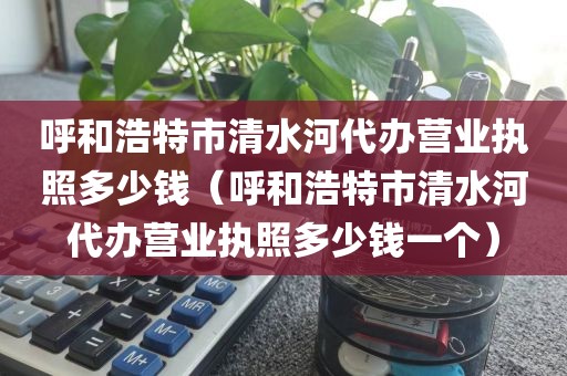 呼和浩特市清水河代办营业执照多少钱（呼和浩特市清水河代办营业执照多少钱一个）