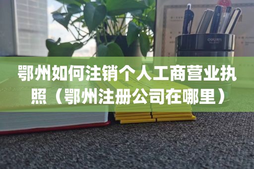 鄂州如何注销个人工商营业执照（鄂州注册公司在哪里）