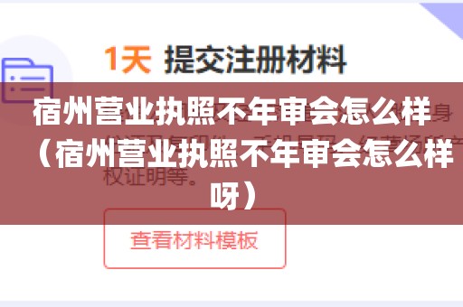 宿州营业执照不年审会怎么样（宿州营业执照不年审会怎么样呀）
