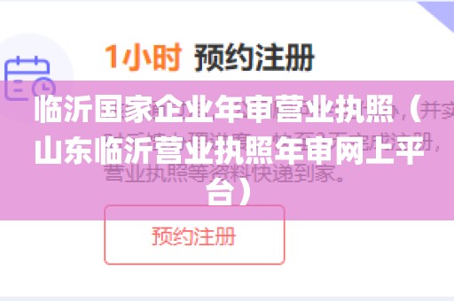 临沂国家企业年审营业执照（山东临沂营业执照年审网上平台）
