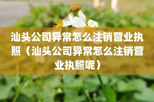 汕头公司异常怎么注销营业执照（汕头公司异常怎么注销营业执照呢）