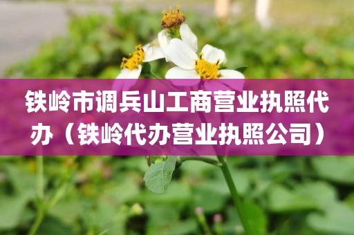 铁岭市调兵山工商营业执照代办(铁岭代办营业执照公司)